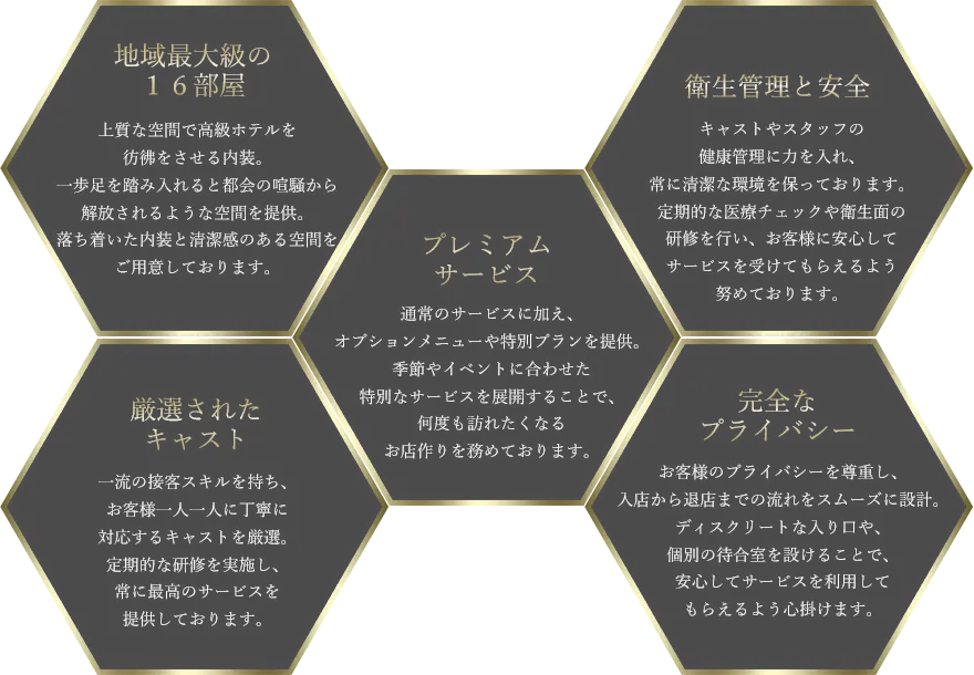 ★上質な区間　★厳選されたキャスト　★プレミアムサービス　★完全なプライバシー　★健康と安全